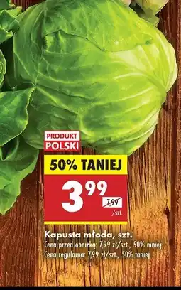Biedronka Kapusta młoda oferta
