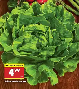 Biedronka Sałata masłowa oferta