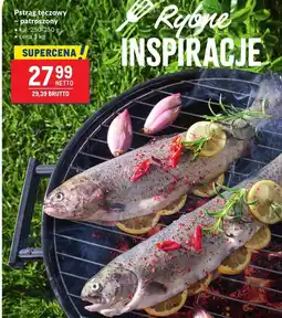 Makro Pstrąg tęczowy patroszony 250-350g Makro oferta