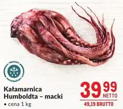 Makro Kałamarnica Humboldt macki 1kg Makro oferta