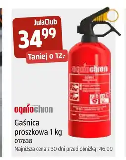 Jula Gaśnica Ogniochron oferta