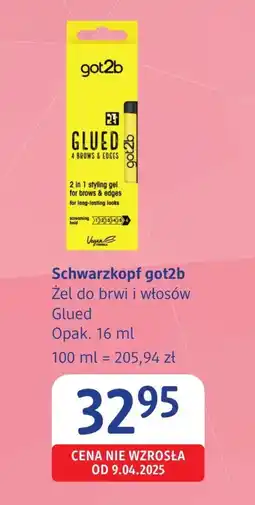dm drogerie markt Żel do brwi Schwarzkopf oferta