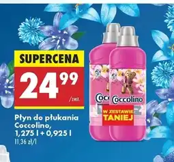 Biedronka Płyn do płukania Coccolino oferta