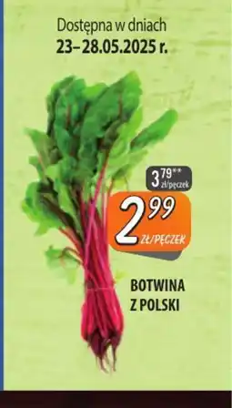 Społem Szczecin Botwina z Polski oferta