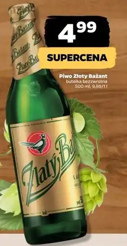 Netto Piwo Zlaty Bazant Original oferta