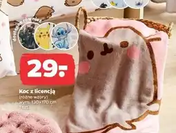 Netto Koc z licencją 130 x 160 oferta
