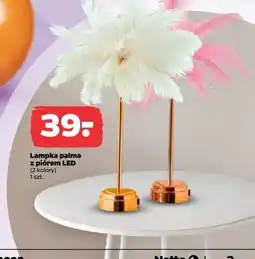 Netto Lampka palma z piórami led oferta