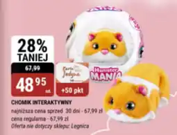 bi1 Zabawka interaktywna oferta