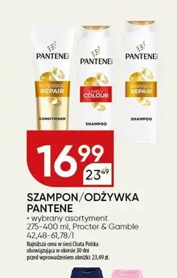 Chata Polska Szampon Pantene oferta