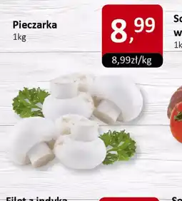 Market Point Pieczarka oferta