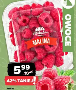Netto Malina oferta