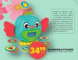 Stokrotka Skarbonka ME+ oferta