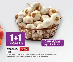 Stokrotka Express Czosnek oferta