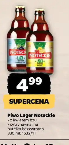 Netto Piwo Lager Noteckie oferta