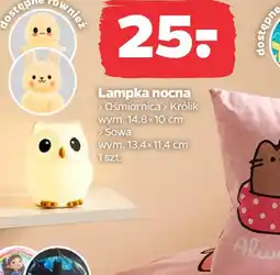 Netto Lampka nocna oferta
