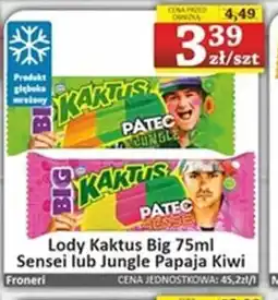 Marmax Lody Kaktus Big oferta