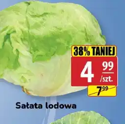API MARKET Sałata lodowa oferta