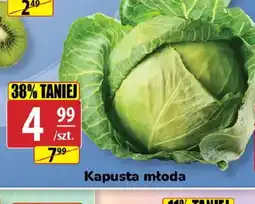 API MARKET Kapusta młoda oferta