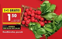 Biedronka Rzodkiewka oferta