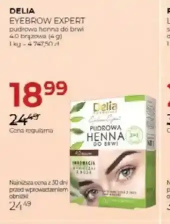 Jawa Drogerie Delia Eyebrow Expert oferta