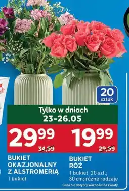 Stokrotka Optima Bukiet róż oferta