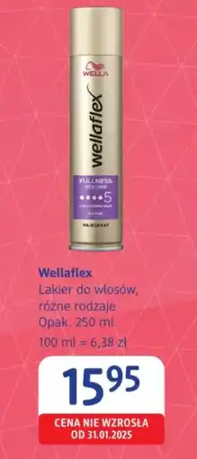 dm drogerie markt WellaFlex oferta