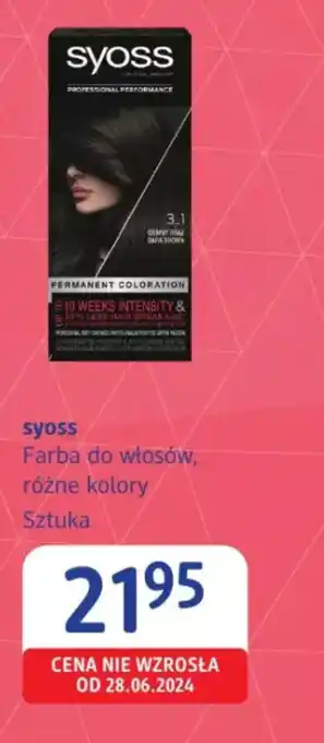 dm drogerie markt Farba do włosów Syoss oferta