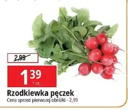 E.Leclerc Rzodkiewka oferta