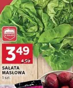 Stokrotka Optima Sałata masłowa oferta