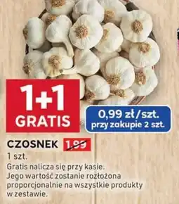 Stokrotka Optima Czosnek oferta