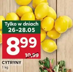 Stokrotka Optima Cytryny oferta