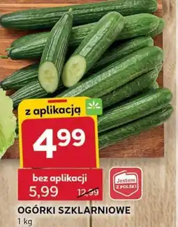 Stokrotka Optima Ogórki szklarniowe oferta