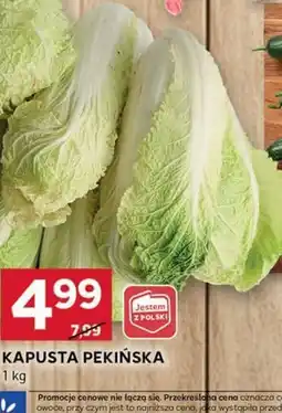 Stokrotka Optima Kapusta pekińska oferta