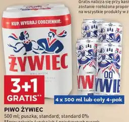 Stokrotka Optima Piwo Zywiec oferta