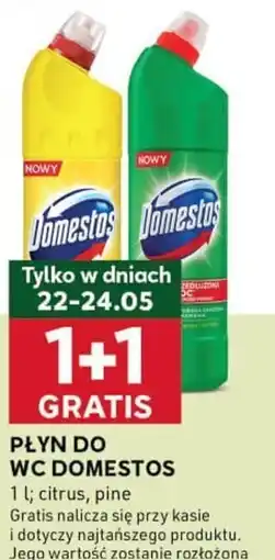 Stokrotka Optima Płyn do WC Domestos oferta