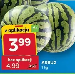 Stokrotka Optima Arbuz oferta