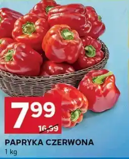 Stokrotka Optima Papryka czerwona oferta