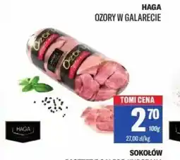 TomiMarkt Ozory w galarecie Haga oferta
