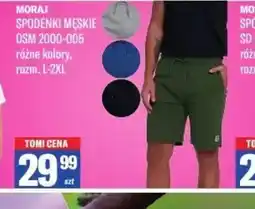 TomiMarkt Spodenki męskie Moraj OSM 2000-005 oferta