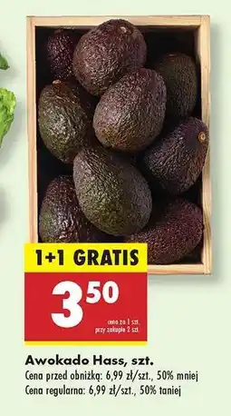 Biedronka Awokado Hass szt oferta