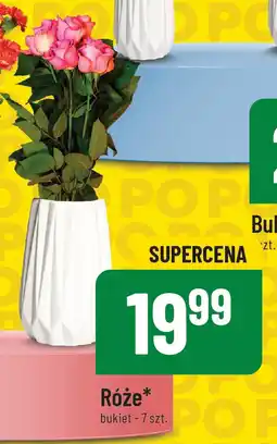 Polomarket Róże oferta