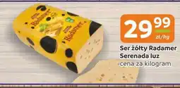 Gama Ser żółty Radamer Serenada luz oferta