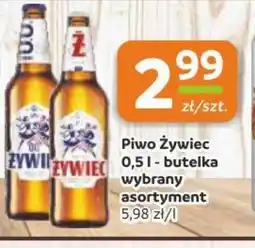 Gama Piwo Zywiec oferta