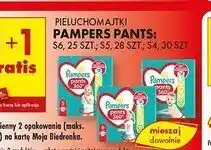 Biedronka Pieluchomajtki Pampers Pants oferta