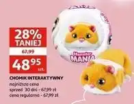 Auchan Chomik interaktywny oferta