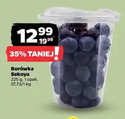 Netto Borówka Sekoya oferta