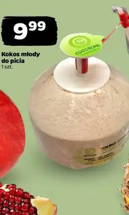 Netto Kokos młody do picia oferta