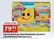 Auchan Ciastolina kwitnące kwiatki Play-Doh oferta