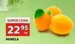 Auchan Morele oferta