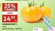 Auchan Pomidory żółte oferta